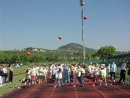 immagine attivit motoria 2